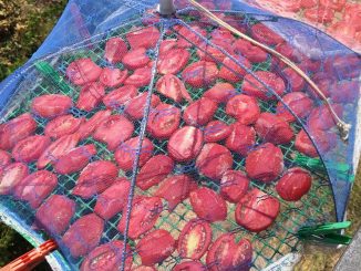 Σπιτικές λιαστές ντομάτες - Homemade Sun Dried Tomatoes