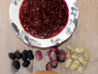 Μαρμελάδα με ακτινίδιο, μούρο άσπρο, μαύρο, και δίχρωμο μούρο - Jam with kiwi, berry white, berry black, and two-colored berry